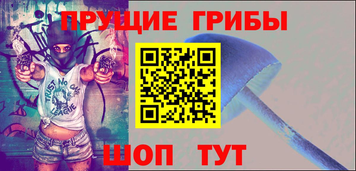 Шадринск  Галлюциногенные грибы Cubensis  Вход с VPN 