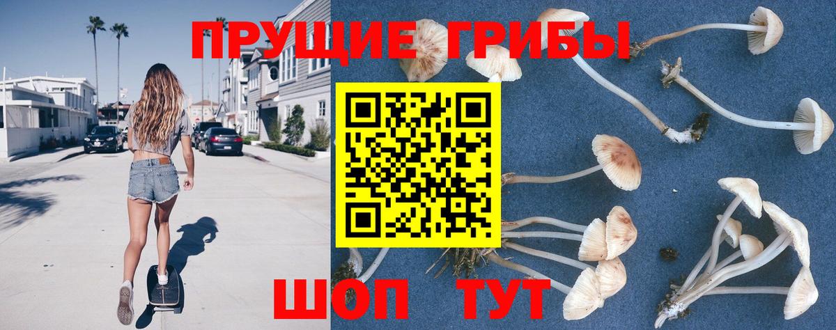 Галлюциногенные грибы GOLDEN TEACHER Шадринск